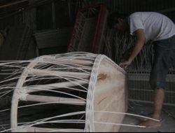 Bisnis Unik, Ekspor Peti Mati dengan Omset Miliaran Rupiah