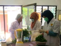 Yogurt Seledri Anti Kolesterol Jahat Kreasi Srikandi Peneliti UWM dan UGM
