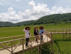 Menoreh Sky Bridge, Hadir Menyajikan Panorama Persawahan yang Indah