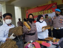 Polda DIY Gagalkan Pengedaran Ganja, 5 Tersangka Diamankan