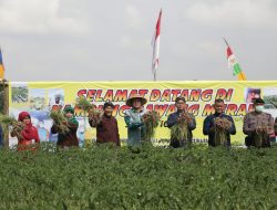 Sukses Panen Raya Bawang Merah, Wabup Sleman Beri Apresiasi Gapoktan Tirto Sembodo