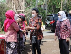 Dukung Pelestarian Budaya, GKR Hemas dan Bupati Sleman Hadiri Upacara Adat Ngrowhod 2022