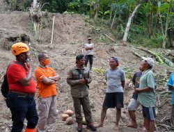 Hujan Deras Disertai Angin Kencang, Berakibat Pohon Tumbang dan Rumah Tergenang Air Di Gunungkidul