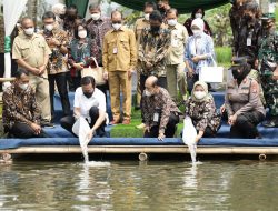 Pasar Tradisional Perikanan Cangkringan Diharapkan Dorong Sleman Jadi Sentra Niaga Ikan