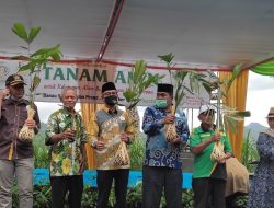 Songsong Muktamar Ke-48 Muhammadiyah, ‘Green Muktamar’ Tanam Satu Juta Pohon Aren