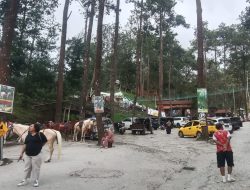 The Lawu Park, Destinasi Wisata Alam Kekinian Di Lereng Gunung Lawu