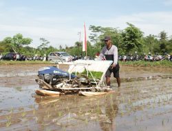 Bupati Sleman: Melalui Rice Transplanter Percepatan Tanam Padi Lebih Optimal