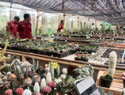 Sleman Bina Kaum Muda Jadi Petani Milenial