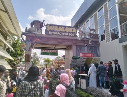 Suraloka Interactive Zoo Yogyakarta Hadirkan Pengalaman Wisata Yang Berbeda