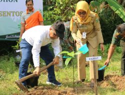 Gerakan Penanaman 1.000 Pohon, Implementasi Program ‘Nandur Wit Nggo Anak Putu’