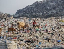 Tanggapi Penutupan TPA Piyungan, Masyarakat di Sleman Diajak Pilah Sampah dari Rumah