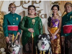 Menyelisik Cuitan Dinas Kebudayaan DIY, Gelaran The Royal Wedding Pasangan Anjing Bisa Berbuntut Panjang