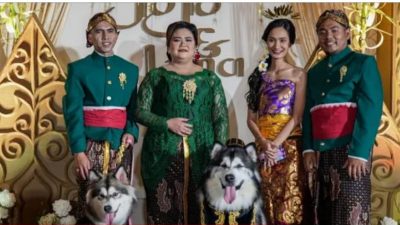 Menyelisik Cuitan Dinas Kebudayaan DIY, Gelaran The Royal Wedding Pasangan Anjing Bisa Berbuntut Panjang