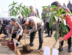 Polda DIY Tanam 11.384 Bibit Pohon
