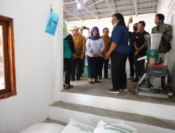 Bangunan Olahan Serta Produksi Pakan Ternak dan Ikan Mandiri di Sleman Diresmikan
