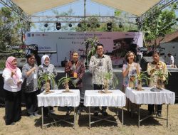 Festival Anggrek Vanda Tricolor di Sleman Dibuka