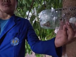 Upaya Pengoptimalan Perkebunan Buah, Mahasiswa KKN UNY Membuat Perangkap Lalat Buah Sederhana