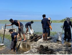 Mahasiswa KKN ITY Bersih-bersih Pantai Samas dan Tanam Mangrove