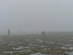 Viral Sejumlah Pantai di Yogyakarta Diselimuti Kabut Tebal