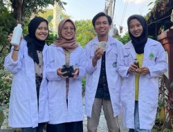 Daun Kopi Bermanfaat Kendalikan Pembusukan Akar Cabai, Begini Hasil Penelitian Mahasiswa Fakultas MIPA UNY
