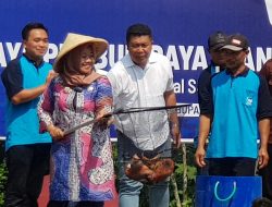 Pemkab Sleman Dorong Upaya Digitalisasi Sektor Perikanan untuk Peningkatan Produksi