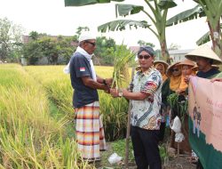 “Merti Dusun” di Grojogan, Bantul, DIY Diinisiasi Kaum Muda