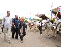 Pemkab Sleman Dorong Pelestarian Transportasi Tradisional