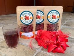 Teh Herbal dari Bunga Sepatu, Banyak Manfaatnya untuk Kesehatan Badan