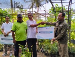 Pasok Energi Bersih PLTU, PLN EPI Tambah 50 Ribu Tanaman Biomassa di Gunungkidul