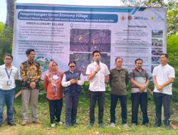 PLN EPI Tinjau Pengembangan Sirkular Ekonomi Lewat Program Tanaman Multifungsi di Gunungkidul