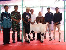 Bupati Sleman Apresiasi Kontes Kambing PE Ras Kaligesing Regional Jawa di Kalasan