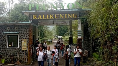 Plunyon Kalikuning, Destinasi Wisata Alam yang Paling Lengkap di Sleman