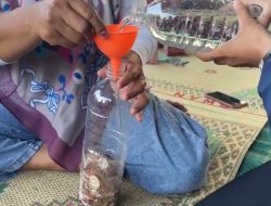 Kulit Bawang sebagai Insektisida Alami, Begini Mahasiswa UNY Cara Membuatnya