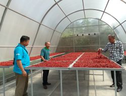 Solar Dryer Dome, Inovasi Pengeringan Cabai untuk Meningkatkan Kesejahteraan Petani