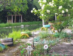 Taman Tangkilan Godean Riwayatmu Kini: Dulu Ratusan Pengunjung Tiap Hari, Kini Dipenuhi Onggokan Sampah Plastik Bekas Hiasan