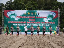 Dukung Swasembada Pangan, Kapolri dan Sultan HB X Tanam Jagung di Bantul