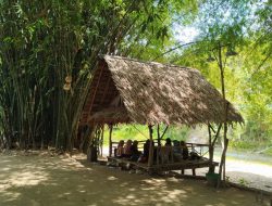 “Slow Living” Tren Gaya Hidup Baru, Berikut Manfaat dan Cara Penerapannya
