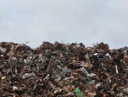 Ajakan Hari Peduli Sampah Nasional 2025, Wujudkan Tema Kolaborasi untuk Indonesia Bersih