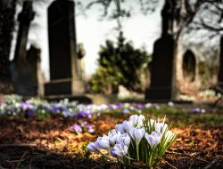 Bacaan Doa Ziarah Makam Idul Fitri 2025/1446 H Lengkap Beserta Urutannya