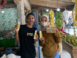 SteriLiz: Spray Anti Bakteri Berbahan Dasar Eceng Gondok, Solusi Inovatif Atasi Masalah Lingkungan