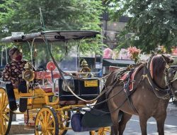 Paguyuban Kusir Sambut Positif Wacana Popok Kuda dari Wali Kota Yogyakarta