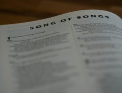 Deretan Lagu Wajib Sering Dinyanyikan di Hari Pendidikan Nasional: Simbol Semangat dan Penghormatan