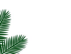 20 Ucapan Memperingati Hari Minggu Palma 2025, Perayaan Bermakna Umat Katolik