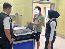 Airport Security YIA Gagalkan Upaya Penyelundupan Burung dan Ular Python oleh Penumpang