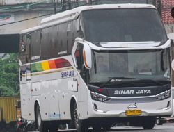 Kabar Baik! Sinarjaya Resmi Buka Rute Baru Yogyakarta–Bandung dan Yogyakarta–Surabaya–Madura