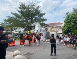 Unit Turangga Polsatwa Polda DIY Tampil Menarik di Malioboro, Bawa Kuda Sampaikan Pesan Kamtibmas