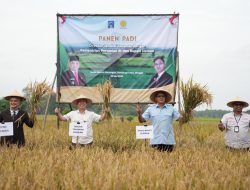 Kementan RI Bersama Pemkab Sleman Wujudkan Program Nasional Swasembada Pangan