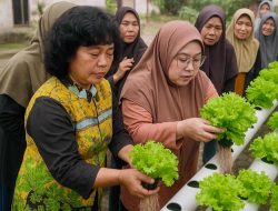Inovasi Hidroponik untuk Kemandirian Pangan