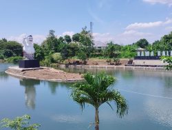 Berikut 4 Fakta Sejarah, Kemunculan Kembali Rawa Kalibayem di Kabupaten Bantul