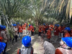 BPDP dan DITJENBUN Gandeng LPP Agro Nusantara Jalankan Pengembangan SDM